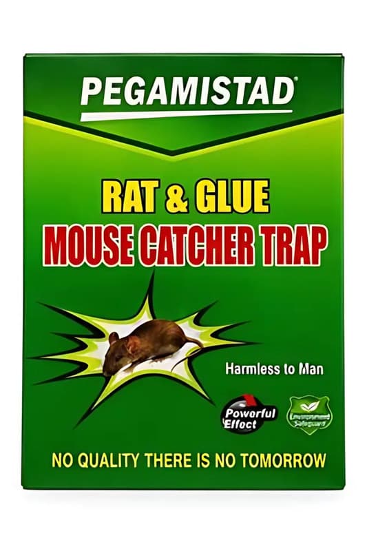 Glue Mouse Trap Board